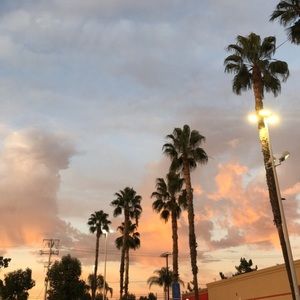 Meet your Posher, Athali